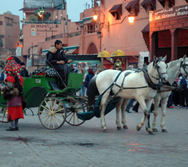 La dialyse en vacances